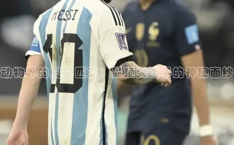 新长征app下载蓝色光标动物界的奥林匹克：最顶尖选手的神秘面纱