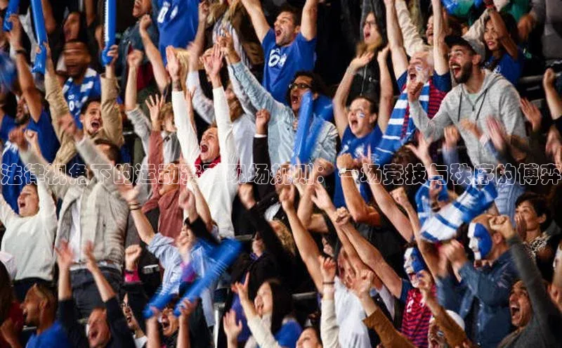 法律视角下的运动赛事现场规则：一场竞技与秩序的博弈