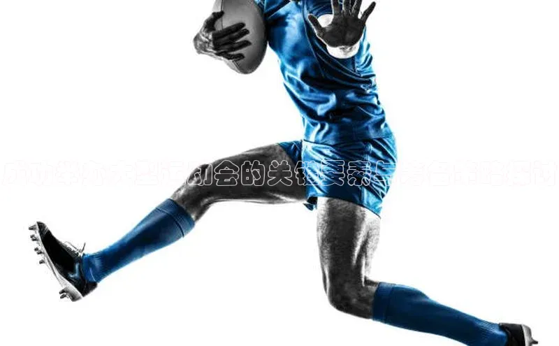 成功举办大型运动会的关键要素与筹备策略探讨