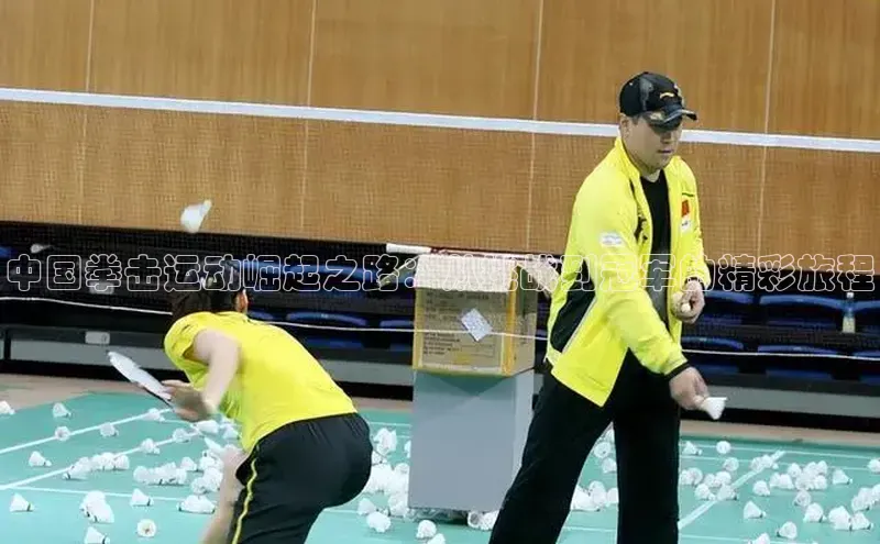 中国拳击运动崛起之路：从挑战到冠军的精彩旅程