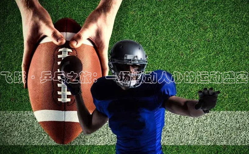 飞跃·乒乓之旅：一场激动人心的运动盛宴