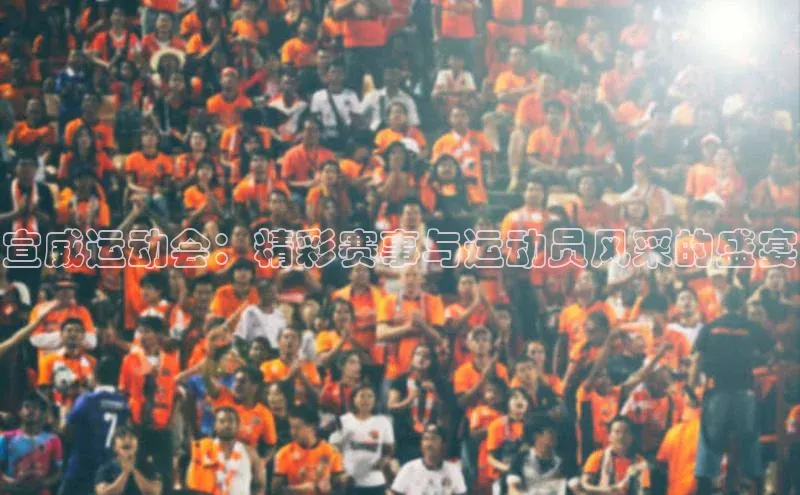 宣威运动会：精彩赛事与运动员风采的盛宴