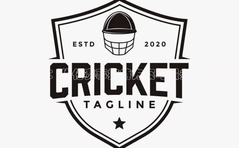 校园盛事：优化赛事接待方案与服务细节探讨