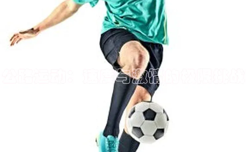 公路运动：速度与激情的极限挑战