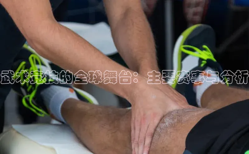 武术竞技的全球舞台：主要赛事与分析