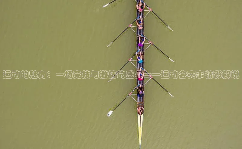运动的魅力：一场竞技与激情的盛宴——运动会赛事精彩解说