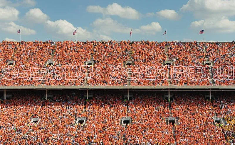 冰与雪的世界：冰雪运动赛事规则