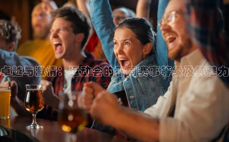 卓越与激情：运动会的不同赛事等级及其魅力