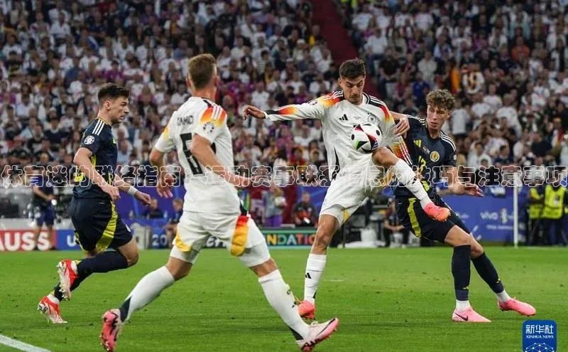 体育迷的联络指南：运动赛事联系信息的技巧与注意事项