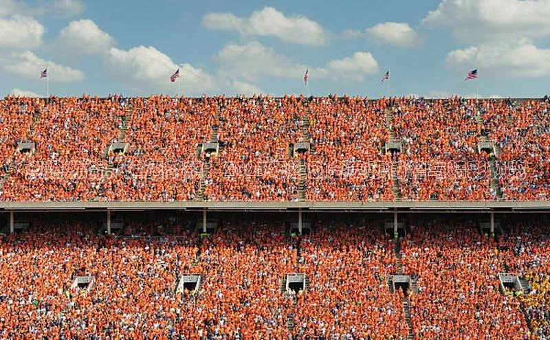 点燃激情，追逐梦想：2023年运动会赛事前瞻与精彩预览