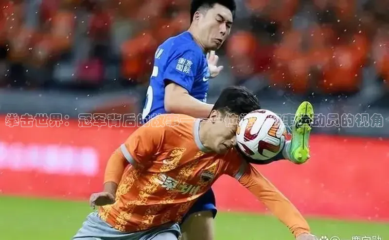 拳击世界：冠军背后的故事——一位拳击赛事运动员的视角