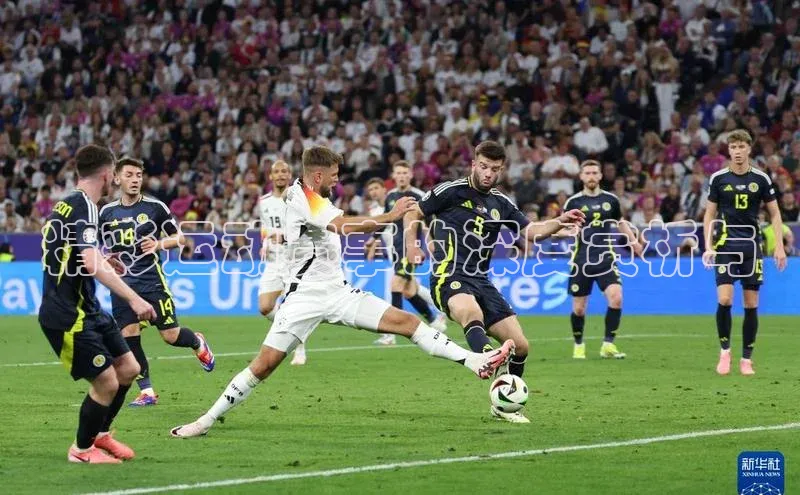 精彩运动赛事的深度赏析与